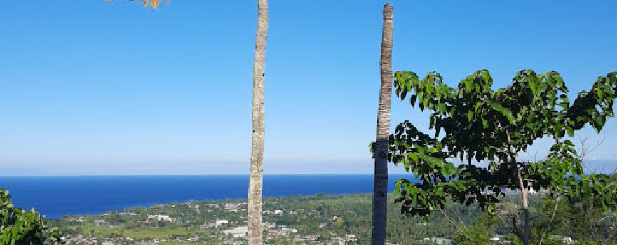 Titus Paradise