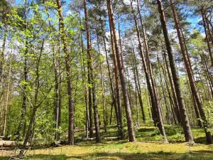 Berolina Camping - Süßer Winkel am Werbellinsee