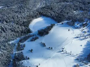 Snowpark Parra