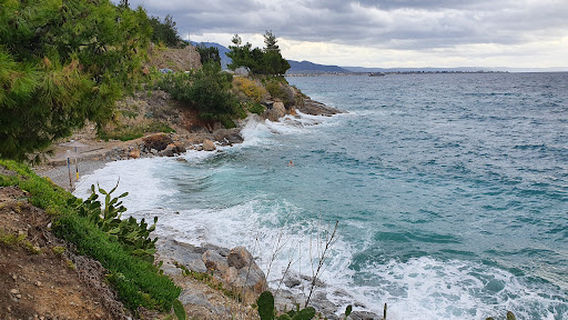 Argonautes Winter Swimmers Club