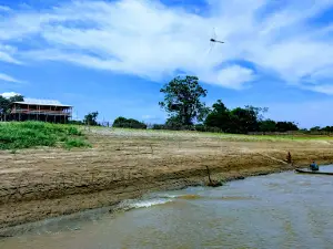 Rio Juriti