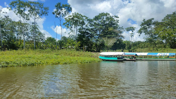 Iquitos