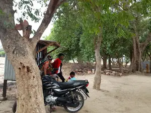 Bandar Baba Ki Bagiya
