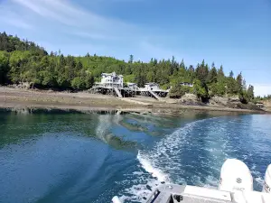 Reel Salty Charters