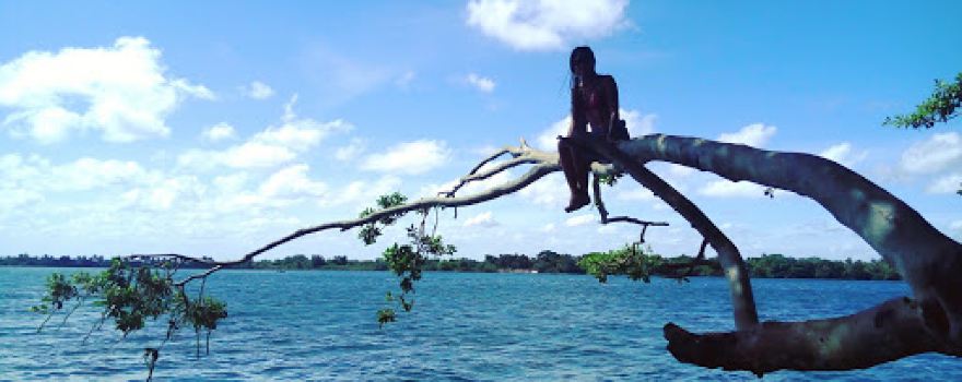 Trilha ilha das flores