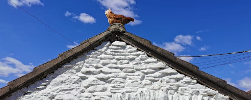 Pencoed Fach Farm