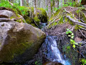 ØKSNES Falls