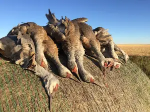 Galloway Bay Outfitters
