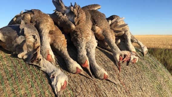 Galloway Bay Outfitters