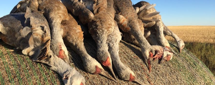 Galloway Bay Outfitters
