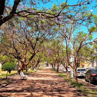Plaza Alberdi
