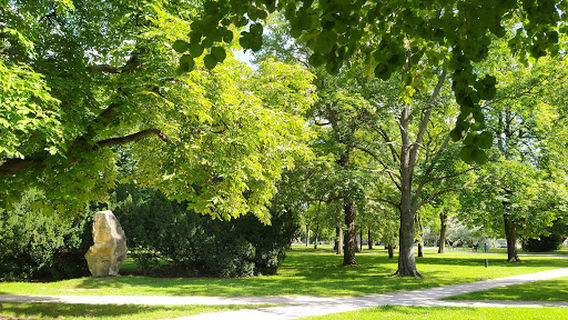 Jiráskovy sady