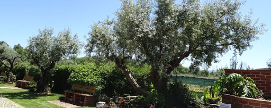Quinta da Hortinha