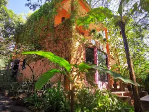 A living museum of Malinalco, Malinalco Critters