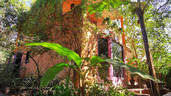 A living museum of Malinalco, Malinalco Critters