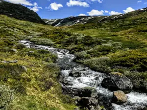 Aurlandsfjellet scenic route (north entry Lærdalsøyri)