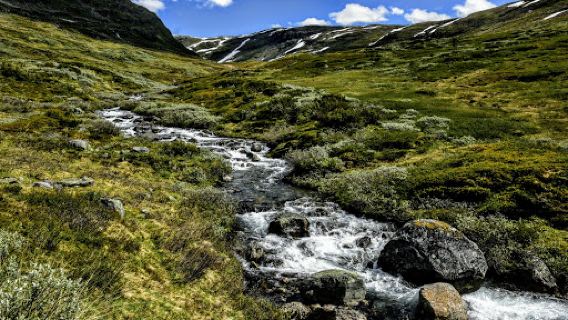Aurlandsfjellet scenic route (north entry Lærdalsøyri)