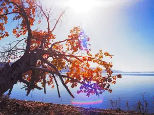 KATEPWA RV PARK