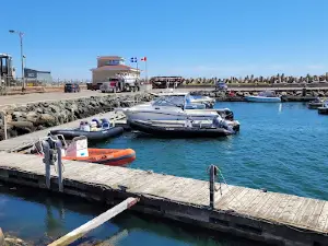 In Sea Excursions