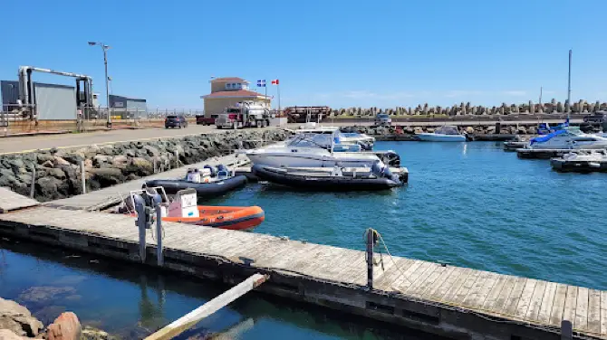 In Sea Excursions