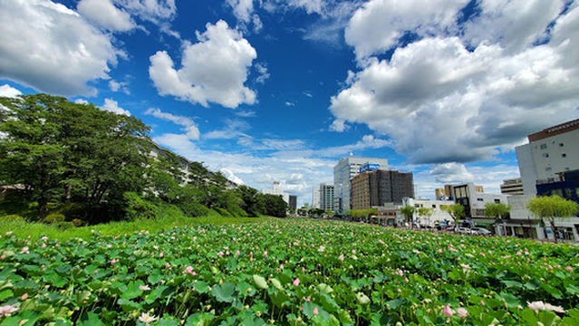 Akita City Cultural Creation Centre
