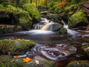National Trust - Padley Gorge