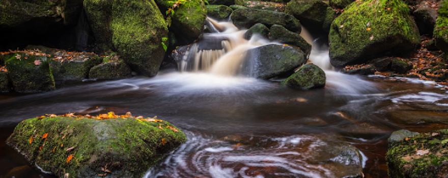 National Trust - Padley Gorge