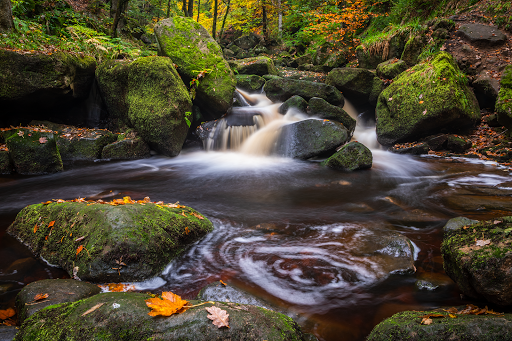National Trust Padley Gorge