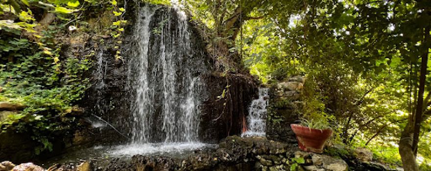 Green oasis Argiroupolis Springs