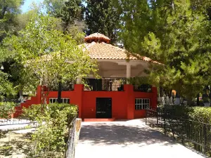 PLAZA DE OCAMPO HOME