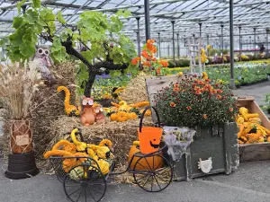 EARL The Garden of Comtée