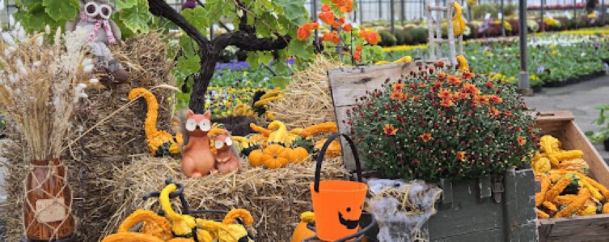 EARL The Garden of Comtée