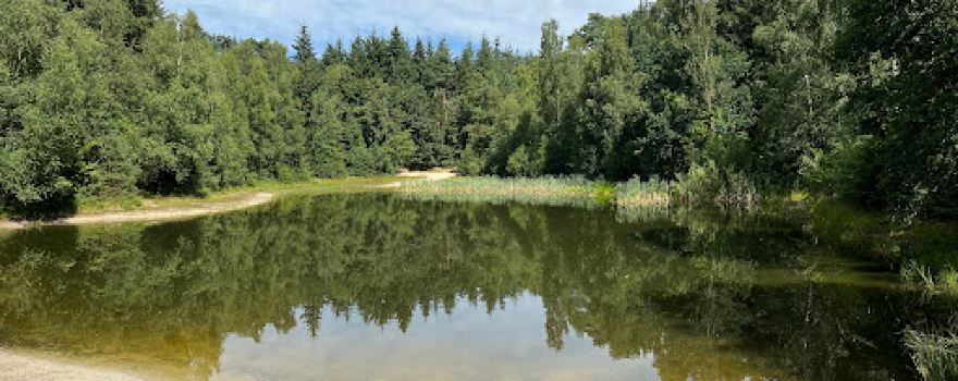 Silbersee Hesel