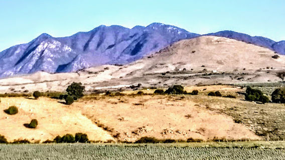 Campo Agavero Turístico