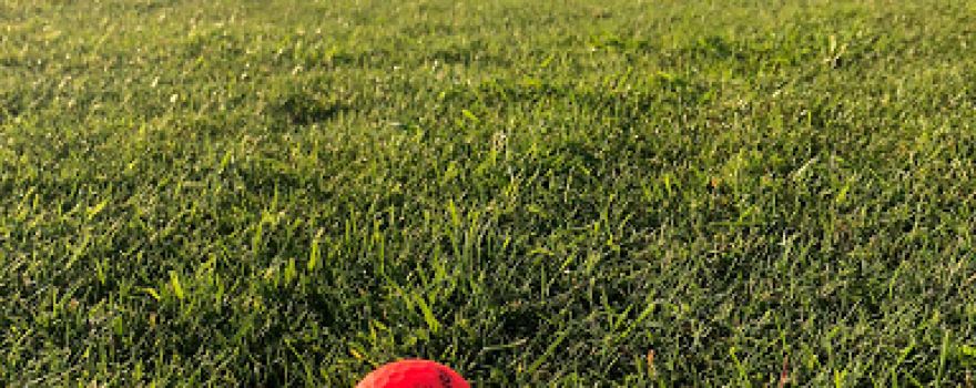 Littlehampton Golf Club