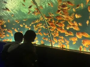 Shanghai Ocean Aquarium
