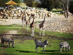 ที่เที่ยวเหมาะกับครอบครัวยอดนิยมในดับลิน