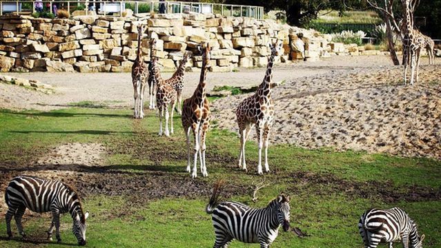 Dublin Zoo