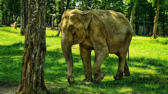 Zoo Tîrgu Mureș