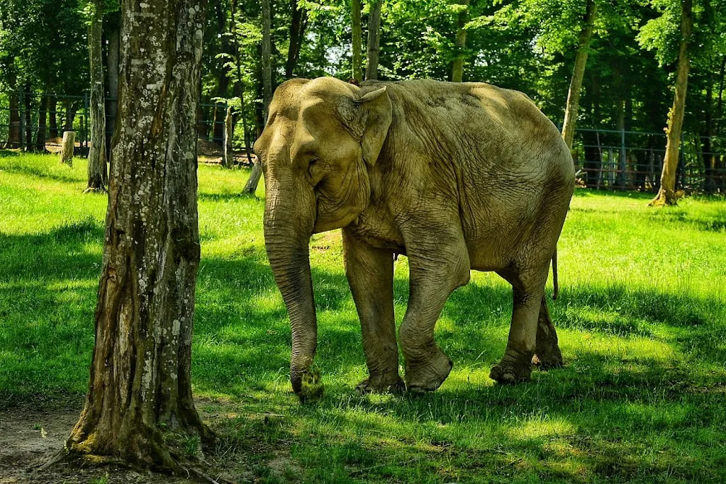 Zoo Tîrgu Mureș