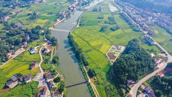 hua li xiao he wang hong yu lin ba