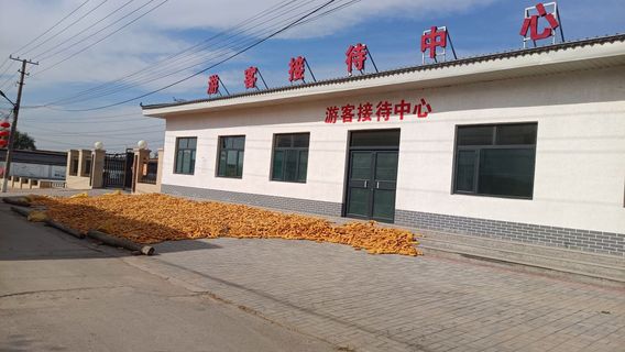 Dongzhentang Former Residence