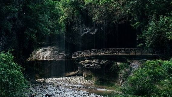 Bashan Grand Canyon Hunting Ground