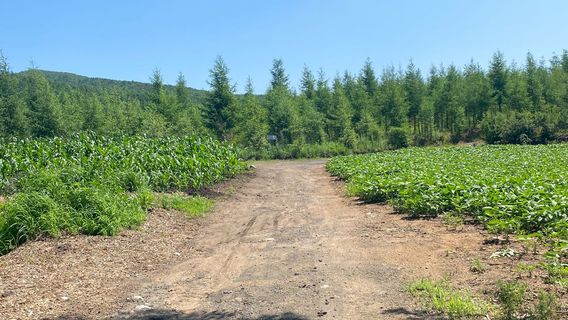 Longtoushan Scenic Area