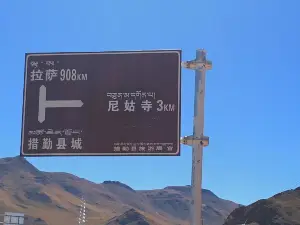 cuo qin xian ni gu si