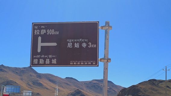 cuo qin xian ni gu si