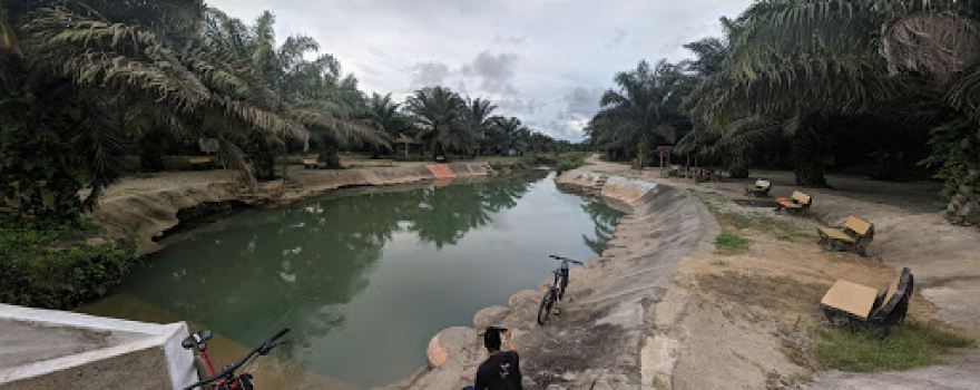 Paya Biru Felda Lok Heng