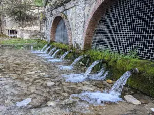 Nacimiento De Rio Frio