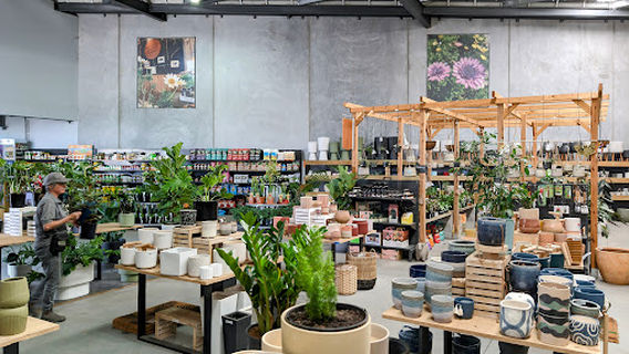 Diaco's Garden Nursery