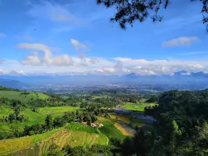 Panorama Kayu Kolek
